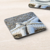 Starfish Untersetzer (Linke Seite)