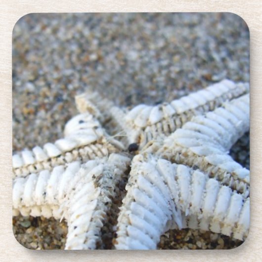 Starfish Untersetzer (Vorderseite)