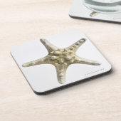 Starfish Untersetzer (Linke Seite)