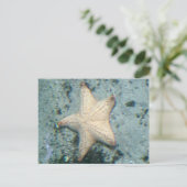 Starfish Unterwasser Postkarte (Stehend Vorderseite)