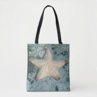 Starfish Unterwasser
