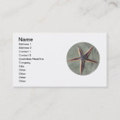 Starfish Visitenkarte (Vorderseite)