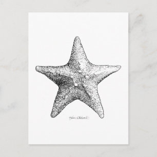 Starfish Zeichnend Schwarzes und Weiß Meer Starart Postkarte