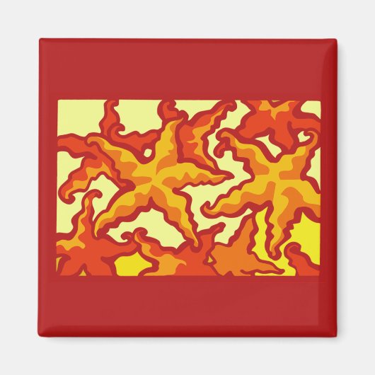 Starfish-Zusammensetzung Magnet (Vorne)