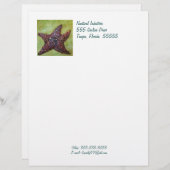 Starfishbriefkopf Briefbogen (Vorne/Hinten)