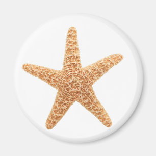 Starfishspaß Magnet