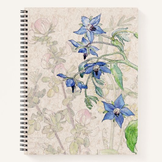 Starflower Borage Wildblume Blume Notebook Notizblock (Vorderseite)