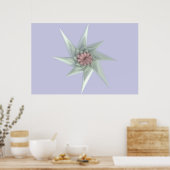 Starflower Poster (Küche)