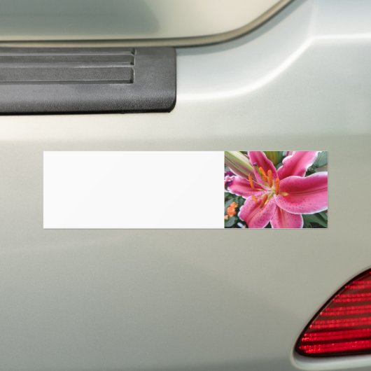 Stargazer Autoaufkleber (Auf Auto)