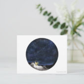 Stargazer Cat Postcard Postkarte (Stehend Vorderseite)