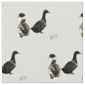 Stargazer Drake und sein Stoff aus Lady Duck - wei (Nahaufnahme)