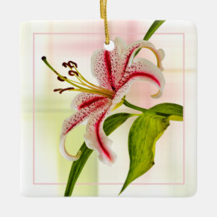 Stargazer Elegant Star Lily Floral Fotografie Keramikornament