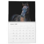 Stargazer Farm Pferde Kalender (Jan 2027)