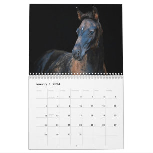 Stargazer Farm Pferde Kalender