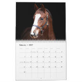 Stargazer Farm Pferde Kalender (Feb 2027)
