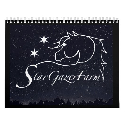 Stargazer Farm Pferde Kalender (Titelbild)