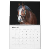 Stargazer Farm Pferde Kalender (Mär 2027)