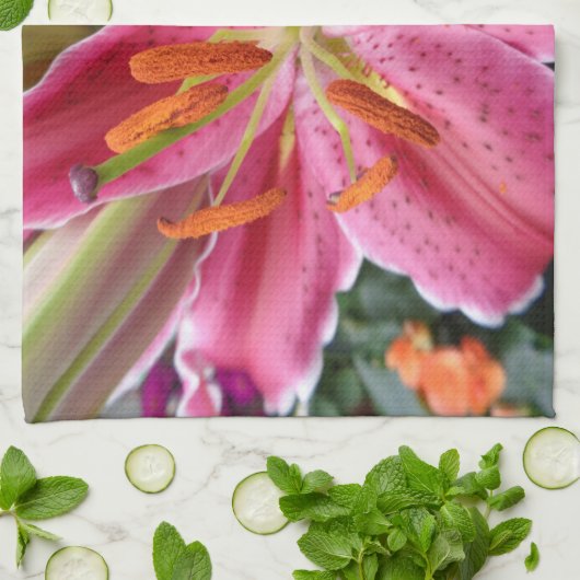 Stargazer Geschirrtuch (Gefaltet)