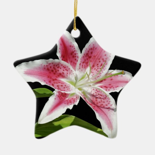 Stargazer Keramikornament (Vorne)
