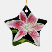 Stargazer Keramikornament (Hinten)