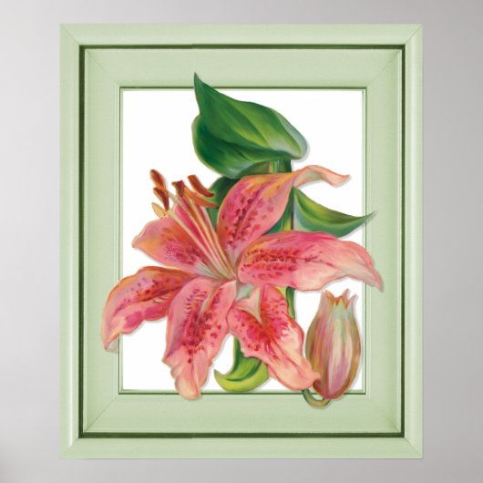 Stargazer-Lilie Botanisch Poster (Vorne)
