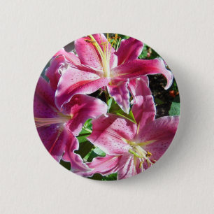 Stargazer-Lilie Button