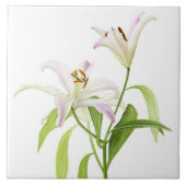 Stargazer-Lilie Fliese (Vorderseite)