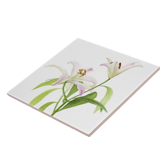 Stargazer-Lilie Fliese (Seite)