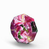 Stargazer-Lilie Fotoblock (Rechts)