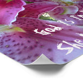 Stargazer Lilie Gott ist in ihr wird sie nicht fal Poster (Ecke)