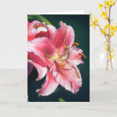 Stargazer-Lilie Karte (Gelbe Blume)