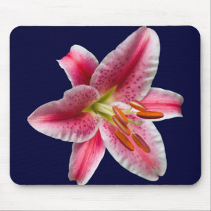 Stargazer-Lilie Mousepad