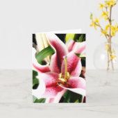 Stargazer-Lilie Notecard Karte (Gelbe Blume)