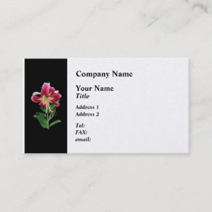 Stargazer-Lilie von oben herabsehend Visitenkarte