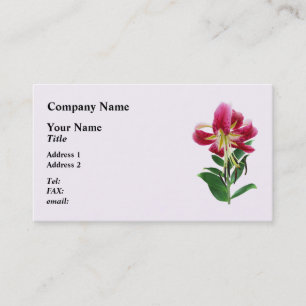 Stargazer-Lilie von oben Visitenkarte