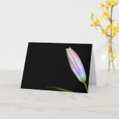 Stargazer-Lilien-Knospe Karte (Gelbe Blume)