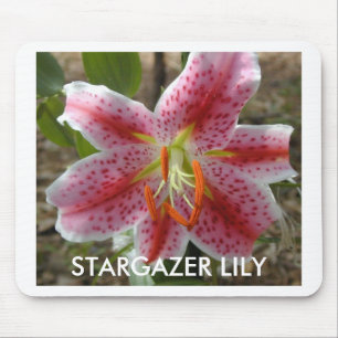 STARGAZER-LILIEN-Mausunterlage Mousepad