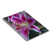 Stargazer-Lilien rosa und magentarote Blumen Notizblock (Rechte Seite)