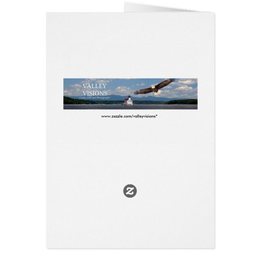 Stargazer Lilies (Hinten)