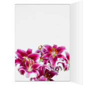 Stargazer Lilies (Innen (Links))