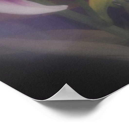 Stargazer Lilies #20 Poster (Ecke)