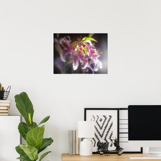 Stargazer Lilies #20 Poster (Heimbüro)