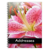 "Stargazer" Lilies-Adresse Notizblock (Vorderseite)