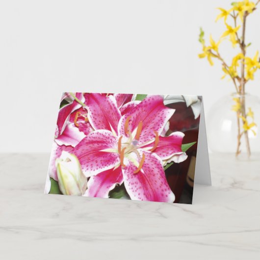 Stargazer Lilies Blank Inside Karte (Gelbe Blume)