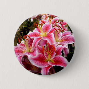 "Stargazer" Lilies Button