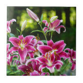 Stargazer Lilies Fliese (Vorderseite)