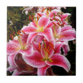 "Stargazer" Lilies Fliese (Vorderseite)