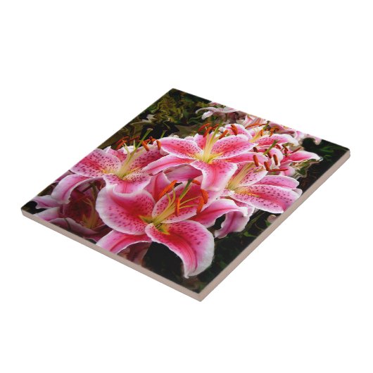 "Stargazer" Lilies Fliese (Seite)