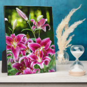 Stargazer Lilies Fotoplatte (Seite)