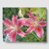 Stargazer Lilies Garden Gästebuch (Rückseite)